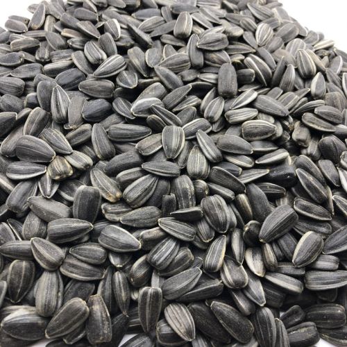 Высокоолеиновый подсолнечник