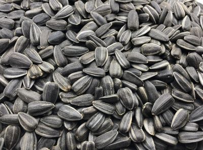 Высокоолеиновый подсолнечник